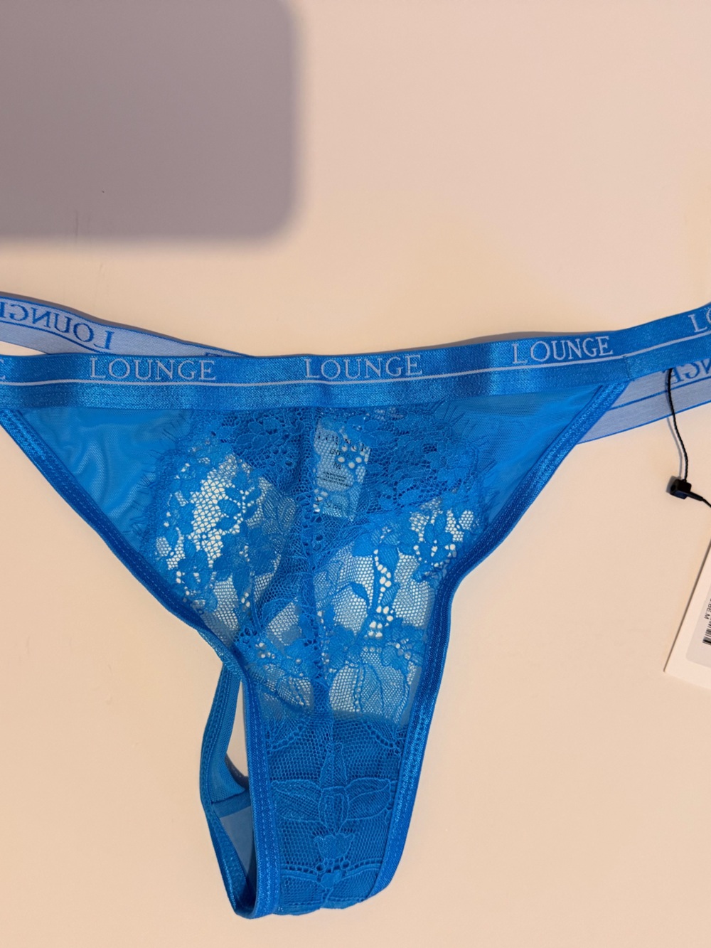 LOUNGE Entice Thong NWT Size Medium Blue